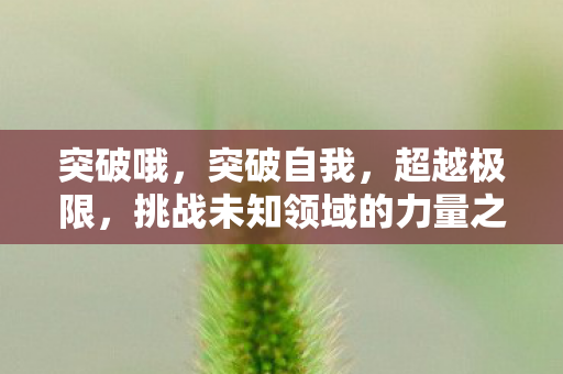 突破哦，突破自我，超越极限，挑战未知领域的力量之旅