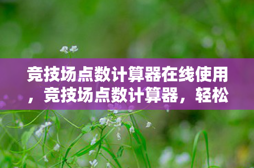 竞技场点数计算器在线使用，竞技场点数计算器，轻松掌握游戏积分计算技巧