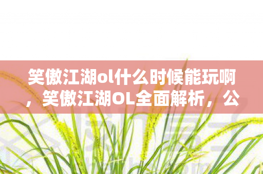 笑傲江湖ol什么时候能玩啊，笑傲江湖OL全面解析，公测时间、游戏特色与玩家期待