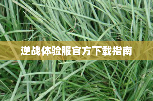 逆战体验服官方下载指南