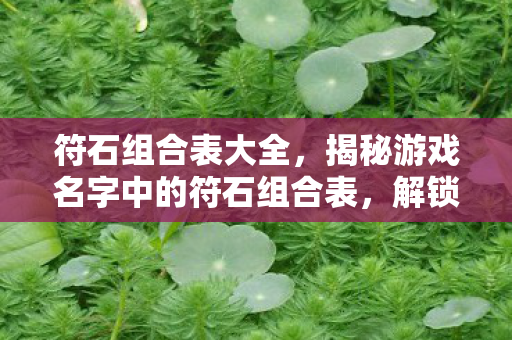 符石组合表大全，揭秘游戏名字中的符石组合表，解锁强大组合，轻松提升战力！