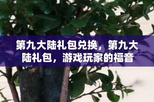 第九大陆礼包兑换，第九大陆礼包，游戏玩家的福音