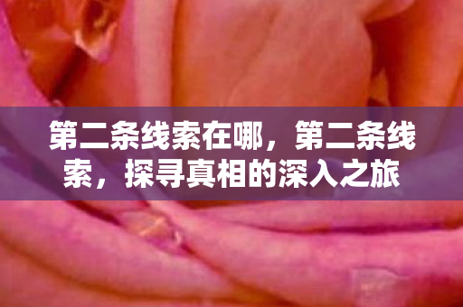 第二条线索在哪，第二条线索，探寻真相的深入之旅