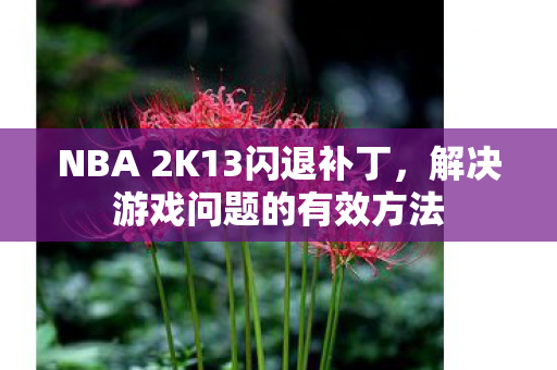 NBA 2K13闪退补丁,解决游戏问题的有效方法 NBA 2K13闪退补丁,解决游戏问题的有效方法