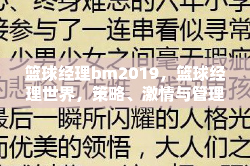 篮球经理bm2019，篮球经理世界，策略、激情与管理的艺术