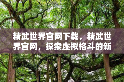 精武世界官网下载，精武世界官网，探索虚拟格斗的新纪元