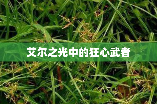 艾尔之光中的狂心武者