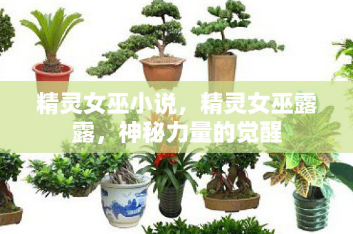 精灵女巫小说，精灵女巫露露，神秘力量的觉醒