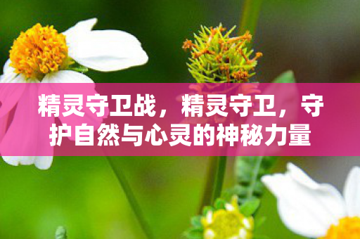 精灵守卫战，精灵守卫，守护自然与心灵的神秘力量