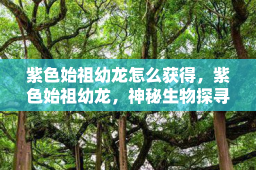 紫色始祖幼龙怎么获得，紫色始祖幼龙，神秘生物探寻之旅