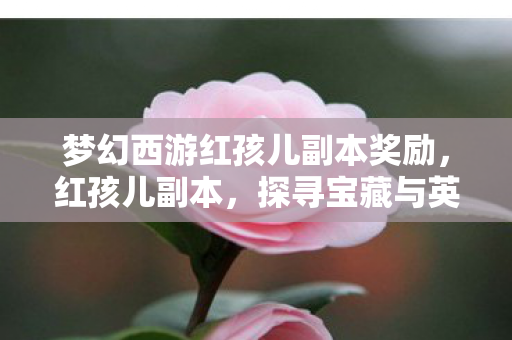 梦幻西游红孩儿副本奖励，红孩儿副本，探寻宝藏与英雄之路的丰厚奖励