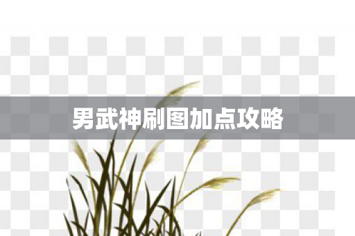 男武神刷图加点攻略