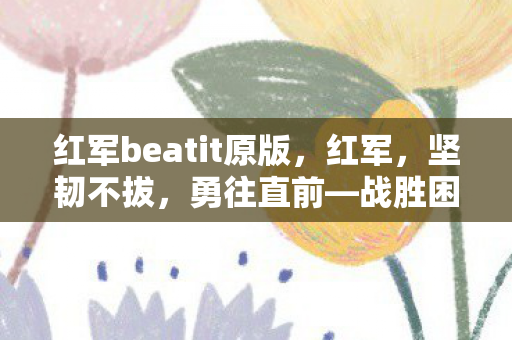 红军beatit原版，红军，坚韧不拔，勇往直前—战胜困难，创造历史