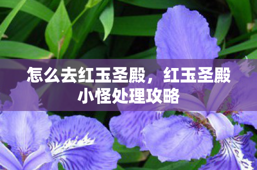 怎么去红玉圣殿，红玉圣殿小怪处理攻略