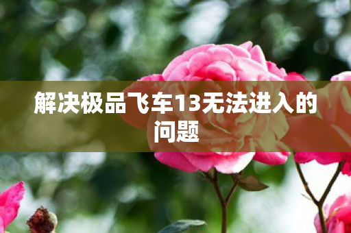 解决极品飞车13无法进入的问题