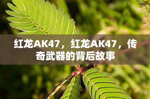 红龙AK47，红龙AK47，传奇武器的背后故事