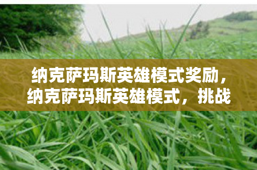 纳克萨玛斯英雄模式奖励，纳克萨玛斯英雄模式，挑战与荣耀的征途