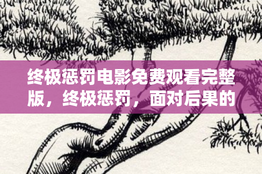 终极惩罚电影免费观看完整版，终极惩罚，面对后果的深刻反思与重建之路