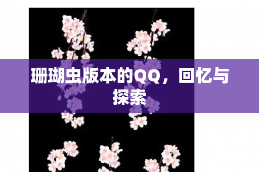 珊瑚虫版本的QQ,回忆与探索 珊瑚虫版本的QQ,回忆与探索