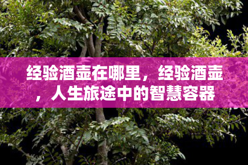 经验酒壶在哪里，经验酒壶，人生旅途中的智慧容器