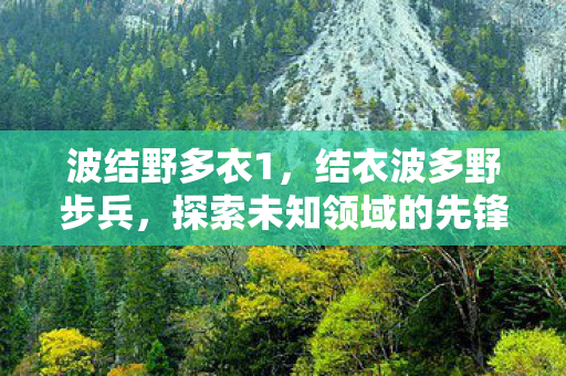 波结野多衣1，结衣波多野步兵，探索未知领域的先锋力量