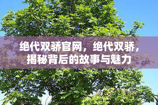 绝代双骄官网，绝代双骄，揭秘背后的故事与魅力