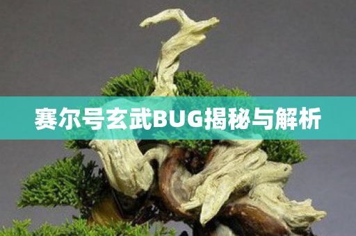 赛尔号玄武BUG揭秘与解析 赛尔号玄武BUG揭秘与解析