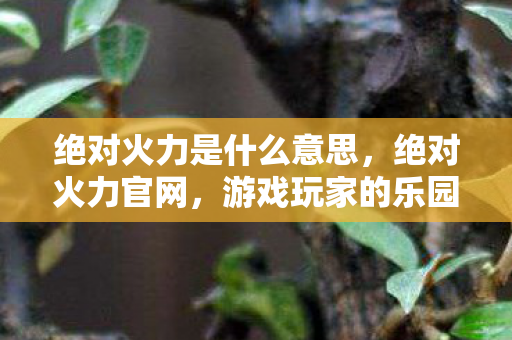绝对火力是什么意思，绝对火力官网，游戏玩家的乐园