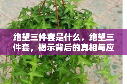 绝望三件套是什么，绝望三件套，揭示背后的真相与应对之道