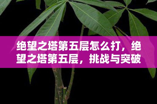 绝望之塔第五层怎么打，绝望之塔第五层，挑战与突破的心灵洗礼