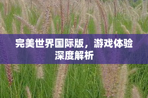 完美世界国际版，游戏体验深度解析