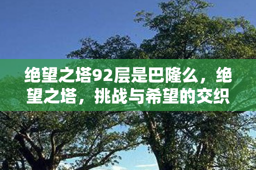 绝望之塔92层是巴隆么，绝望之塔，挑战与希望的交织