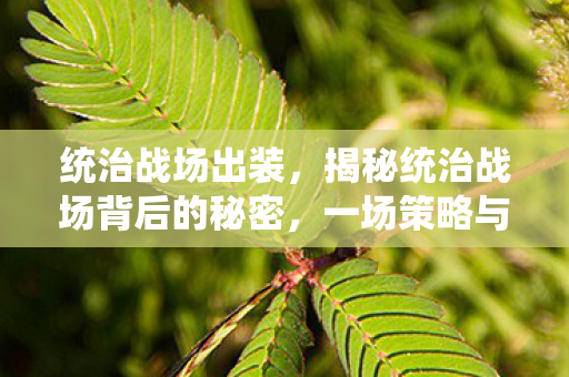 统治战场出装，揭秘统治战场背后的秘密，一场策略与智慧的较量