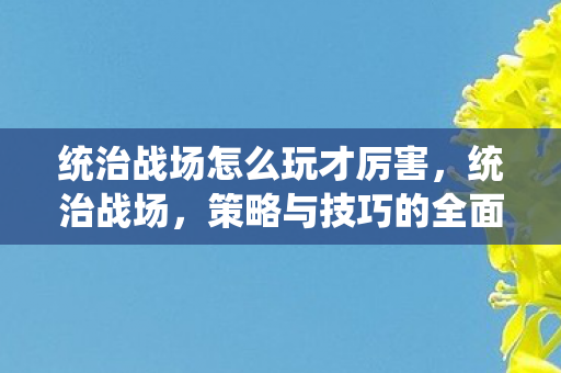 统治战场怎么玩才厉害，统治战场，策略与技巧的全面解析