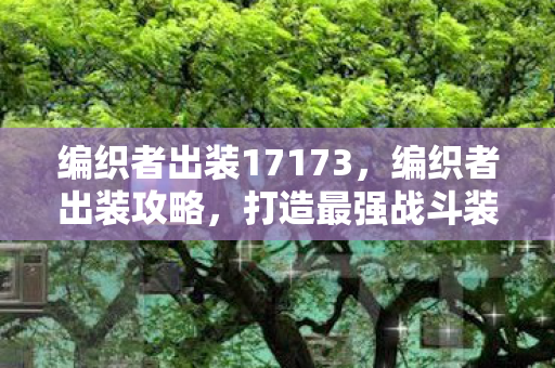 编织者出装17173，编织者出装攻略，打造最强战斗装备组合