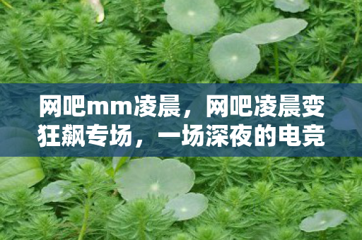 网吧mm凌晨，网吧凌晨变狂飙专场，一场深夜的电竞狂欢与失控边缘的挣扎