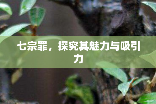 七宗罪，探究其魅力与吸引力