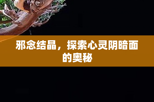 邪念结晶，探索心灵阴暗面的奥秘