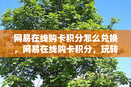 网易在线购卡积分怎么兑换，网易在线购卡积分，玩转积分系统，轻松获取丰厚奖励！