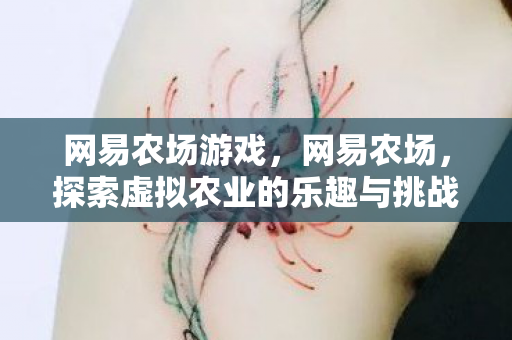 网易农场游戏，网易农场，探索虚拟农业的乐趣与挑战