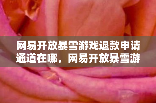 网易开放暴雪游戏退款申请通道在哪，网易开放暴雪游戏退款申请通道，游戏迷们的福音还是最后的告别？