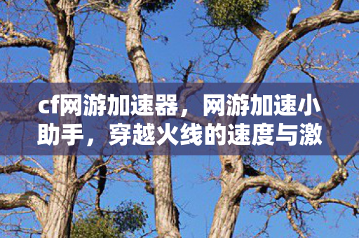 cf网游加速器，网游加速小助手，穿越火线的速度与激情
