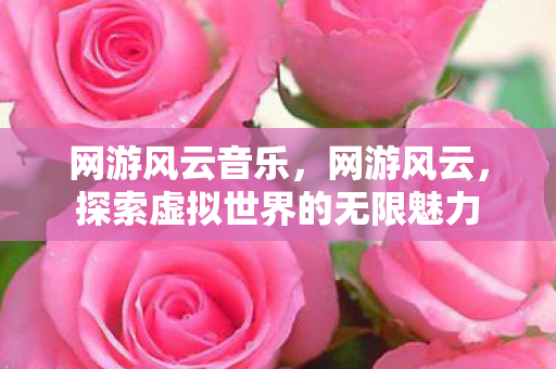 网游风云音乐，网游风云，探索虚拟世界的无限魅力