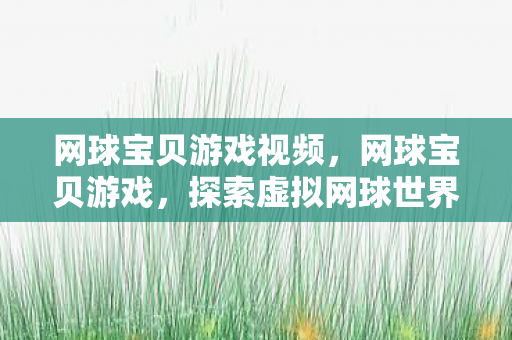 网球宝贝游戏视频，网球宝贝游戏，探索虚拟网球世界的魅力之旅