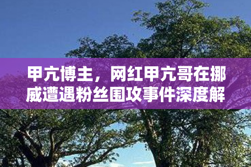 甲亢博主，网红甲亢哥在挪威遭遇粉丝围攻事件深度解析