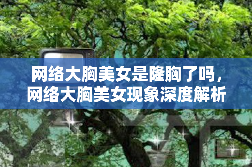 网络大胸美女是隆胸了吗，网络大胸美女现象深度解析