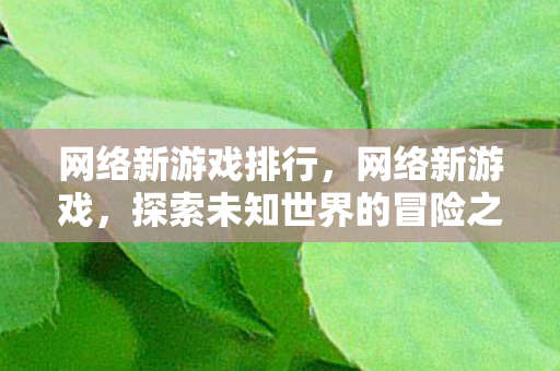 网络新游戏排行，网络新游戏，探索未知世界的冒险之旅