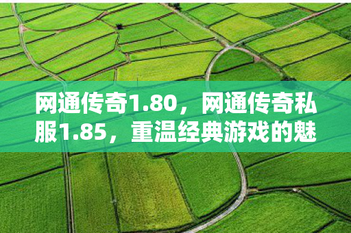 网通传奇1.80，网通传奇私服1.85，重温经典游戏的魅力与情怀