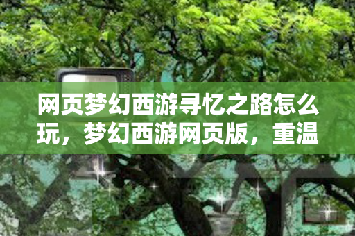 网页梦幻西游寻忆之路怎么玩，梦幻西游网页版，重温经典，探索未知的游戏世界