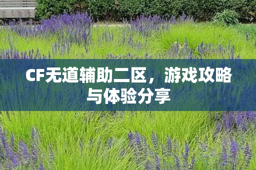 CF无道辅助二区，游戏攻略与体验分享